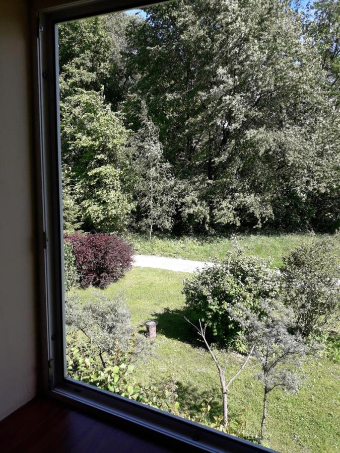 Agrohaczow Za Rzeka Apartament 8-Osobowy Extérieur photo